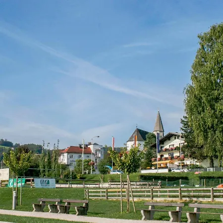 Pool And Lake Daire Altmünster